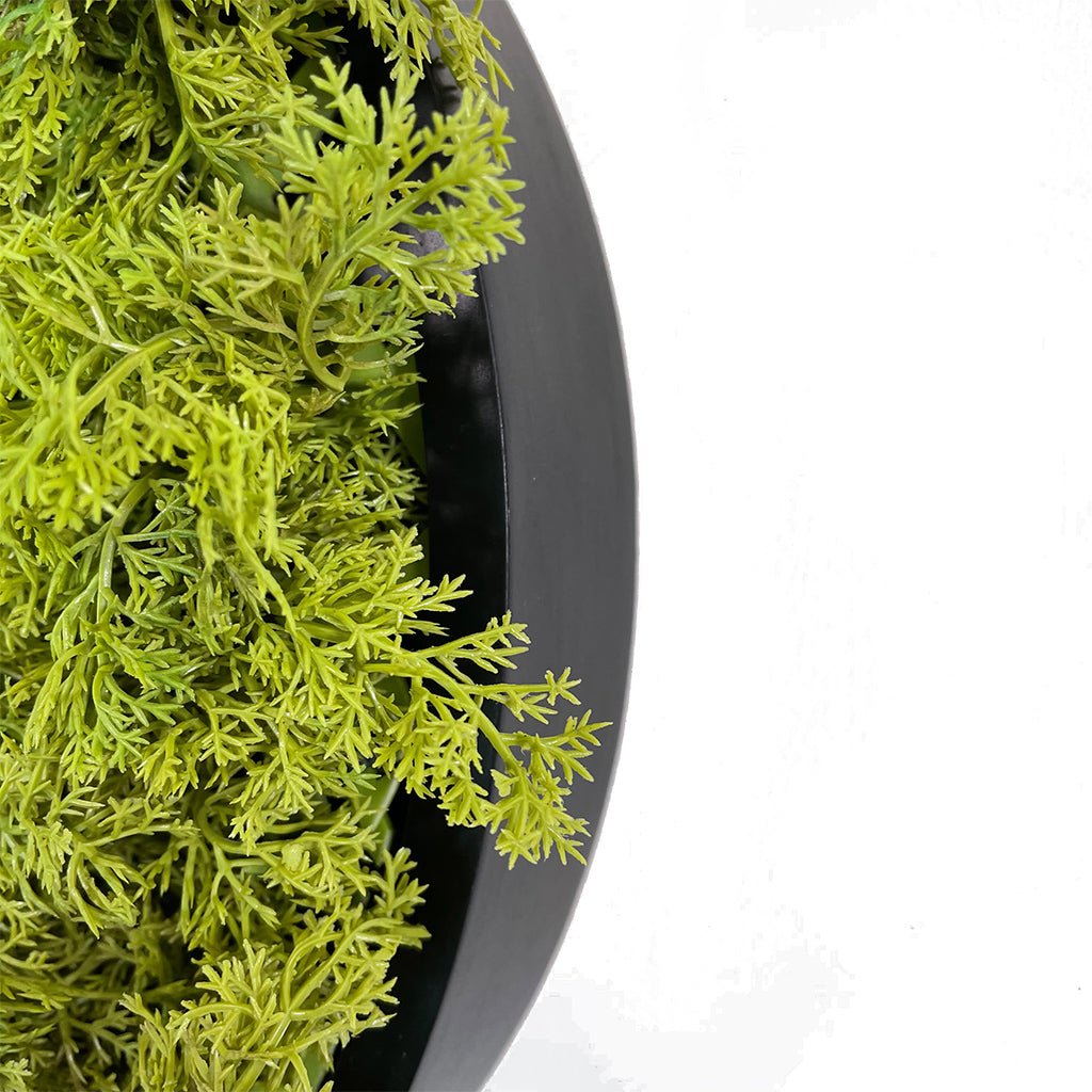 Close-up of circular artificial moss wall art panel edge, dark green moss on black MDF