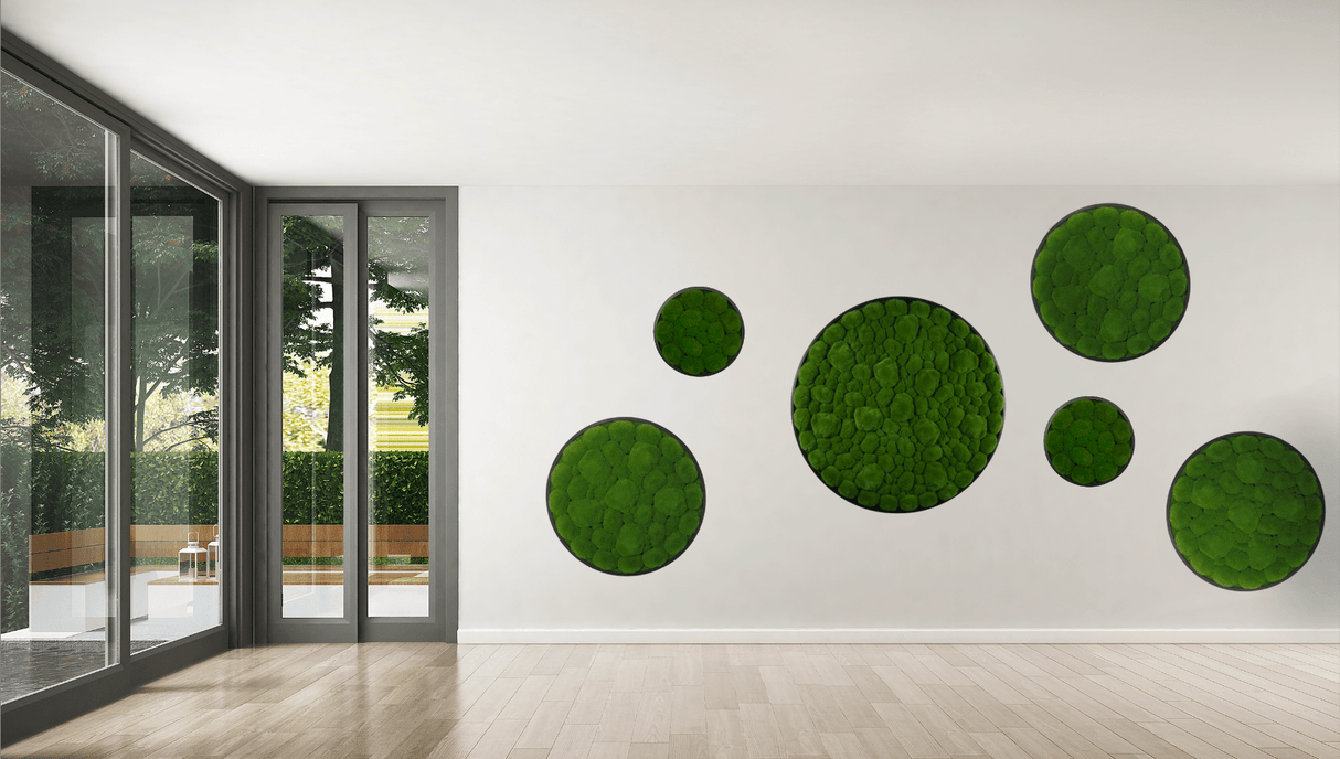 Circular artificial moss wall panels with dark frames and dense green bun moss arranged on wall.