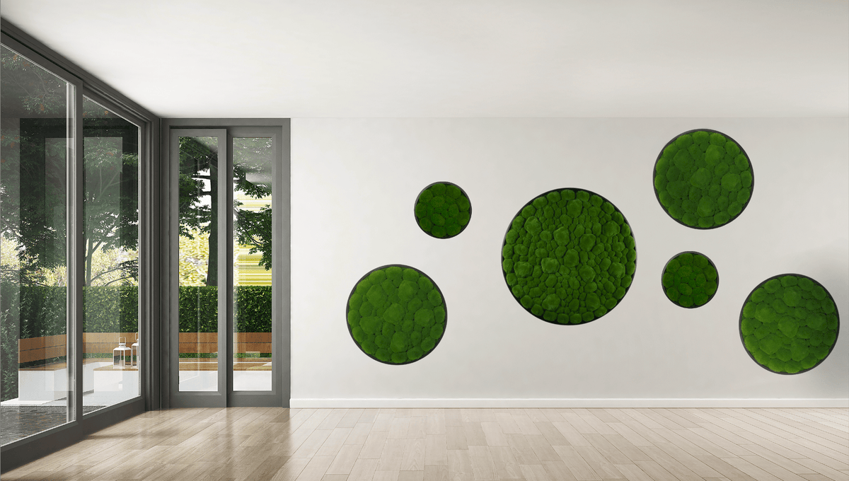 Green artificial moss circular wall art panels with dark frames.