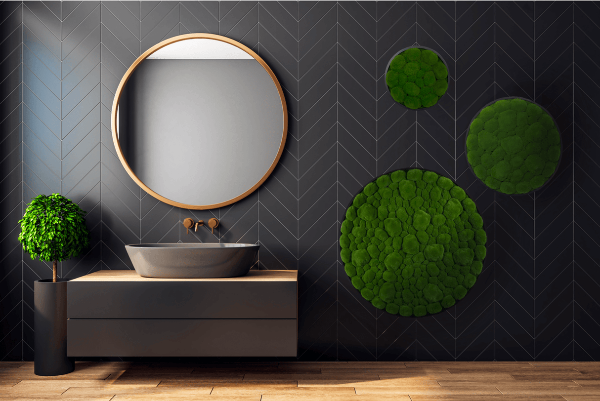 Circular artificial moss wall art panels with dark frames, featuring green bun moss shapes.