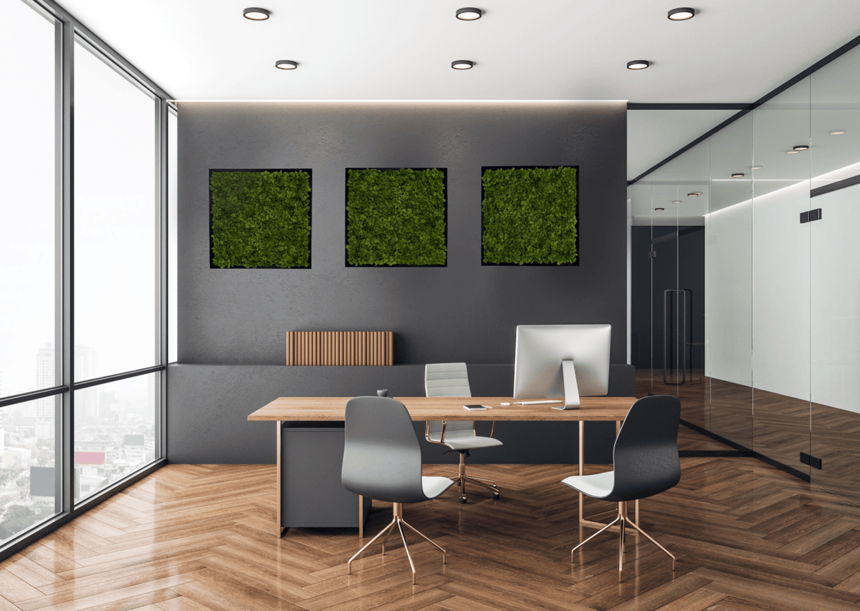 Set of three artificial moss square wall panels in green, mounted on gray wall