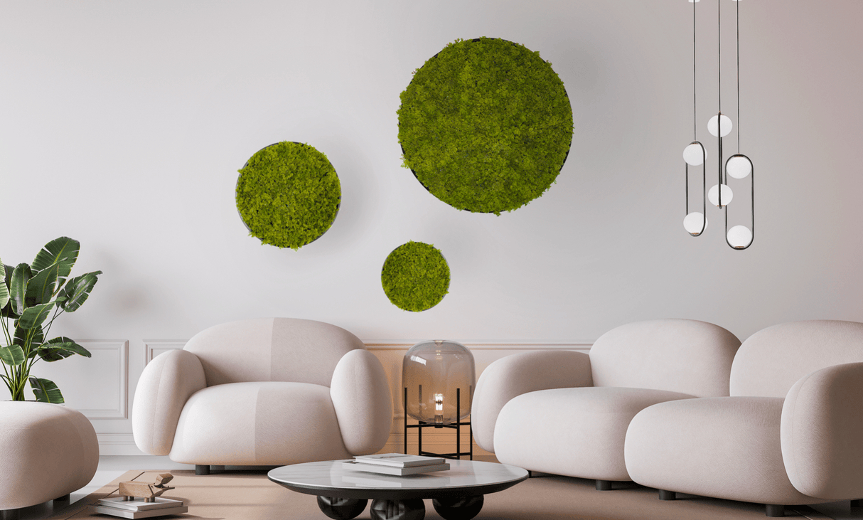 Set of circular moss wall art panels in varying sizes on wall