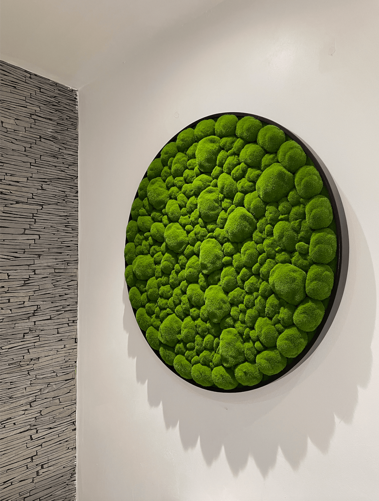 Single round moss wall art panel with vivid green bun moss and black border.