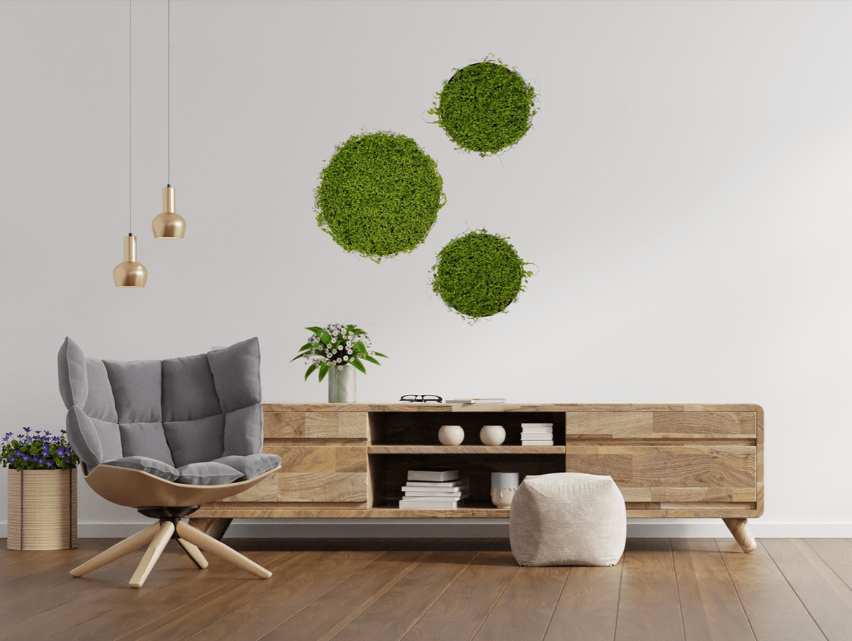 Circular faux moss wall art panels, dark green tufted surfaces, 30 cm