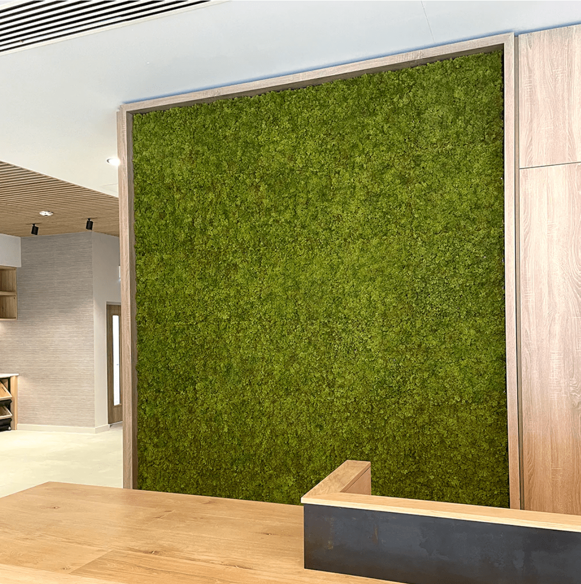 Artificial moss panel wall covering inside doorway frame, dense green
