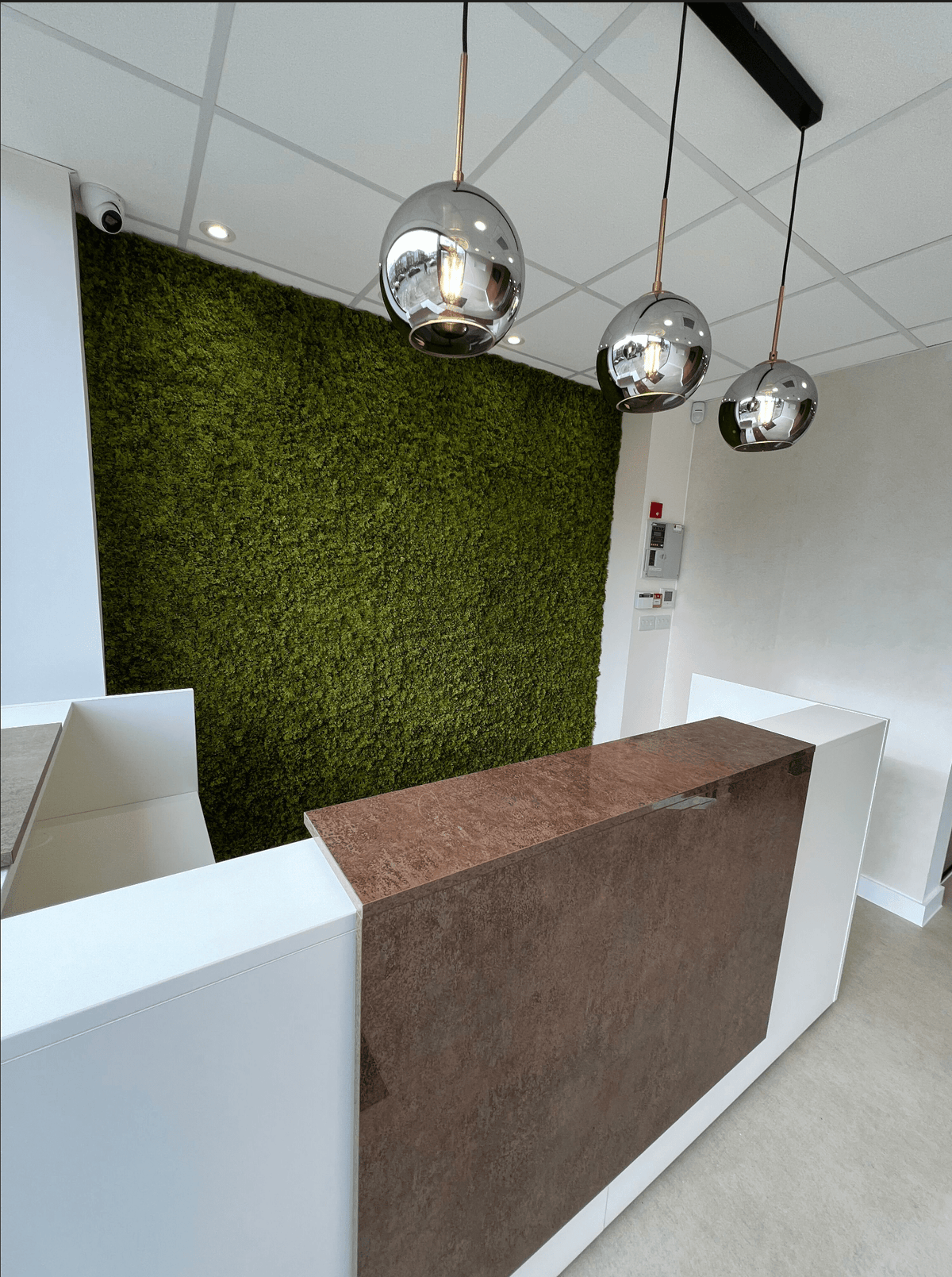 Artificial moss panel backdrop with green textured wall behind reception