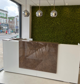 Artificial green reindeer moss panel 100x100cm