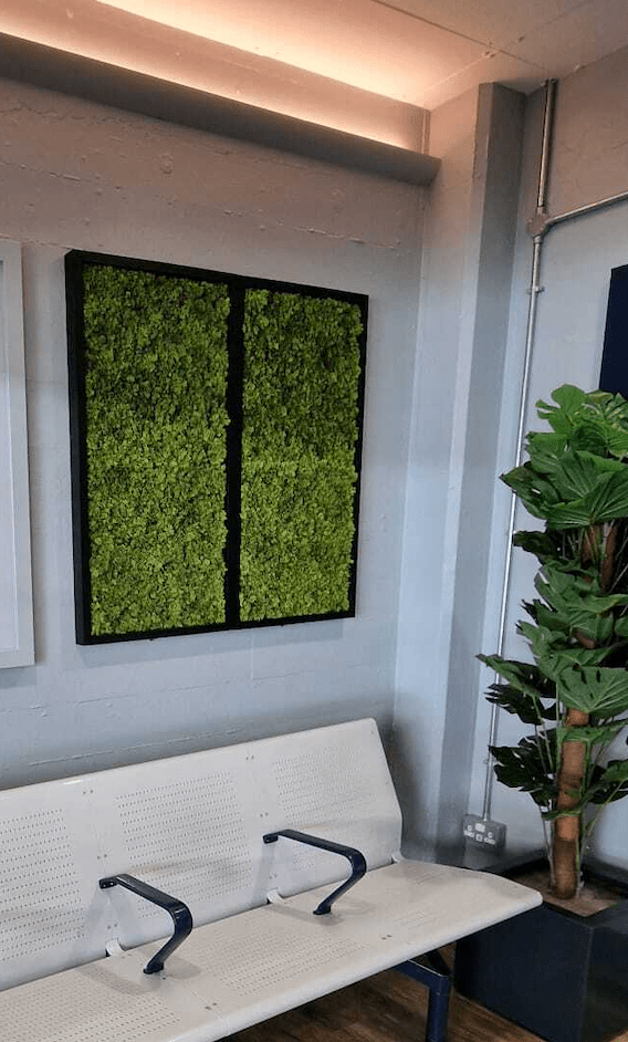 Artificial reindeer moss wall panel with black aluminium frame, green rectangle with divider
