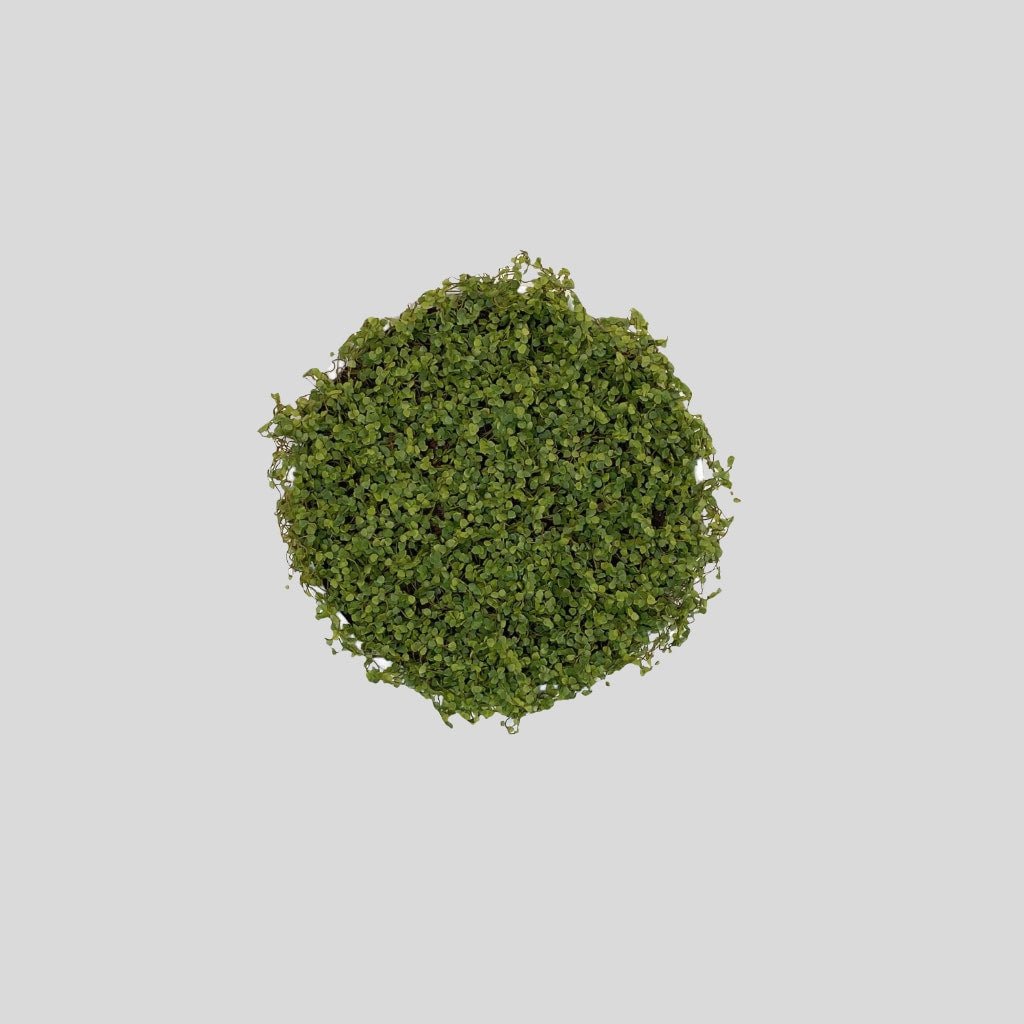 Circular faux moss wall art panel, dark green tufted texture, 30 cm diameter