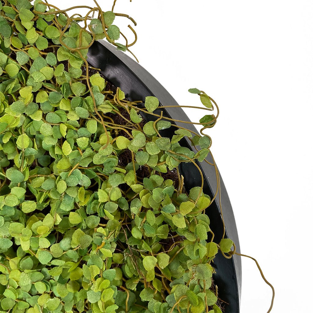 Artificial twig moss panel with thin stems over dark circular MDF backing