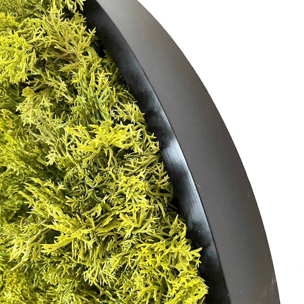 Artificial reindeer moss wall panel close-up, green moss on black edge frame