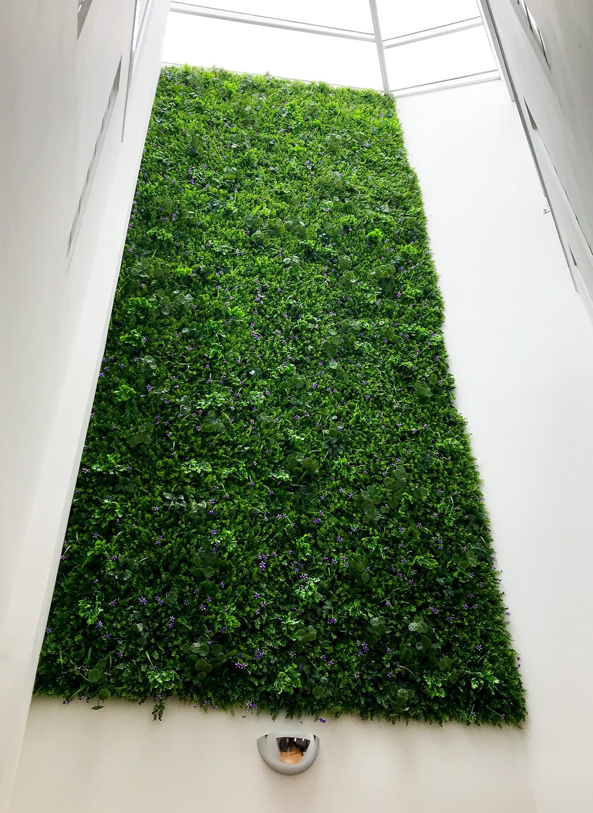 Artificial green wall mixed plant panel with purple flowers 100x100 cm - www.greenplantwalls.co.uk