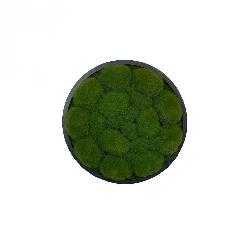 Green artificial moss round wall panel with dark frame.