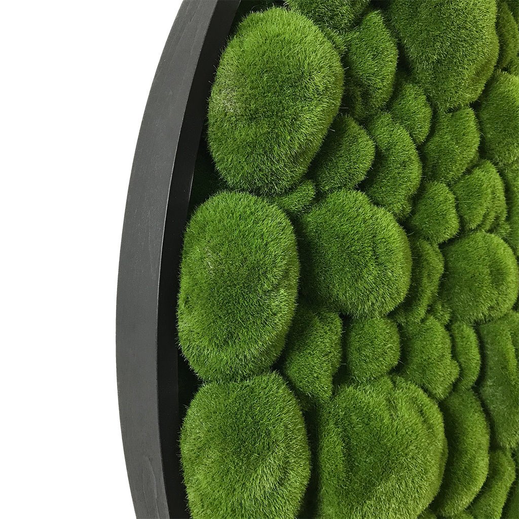 Round moss wall panel detail: dense green bun moss on black-edged backing.