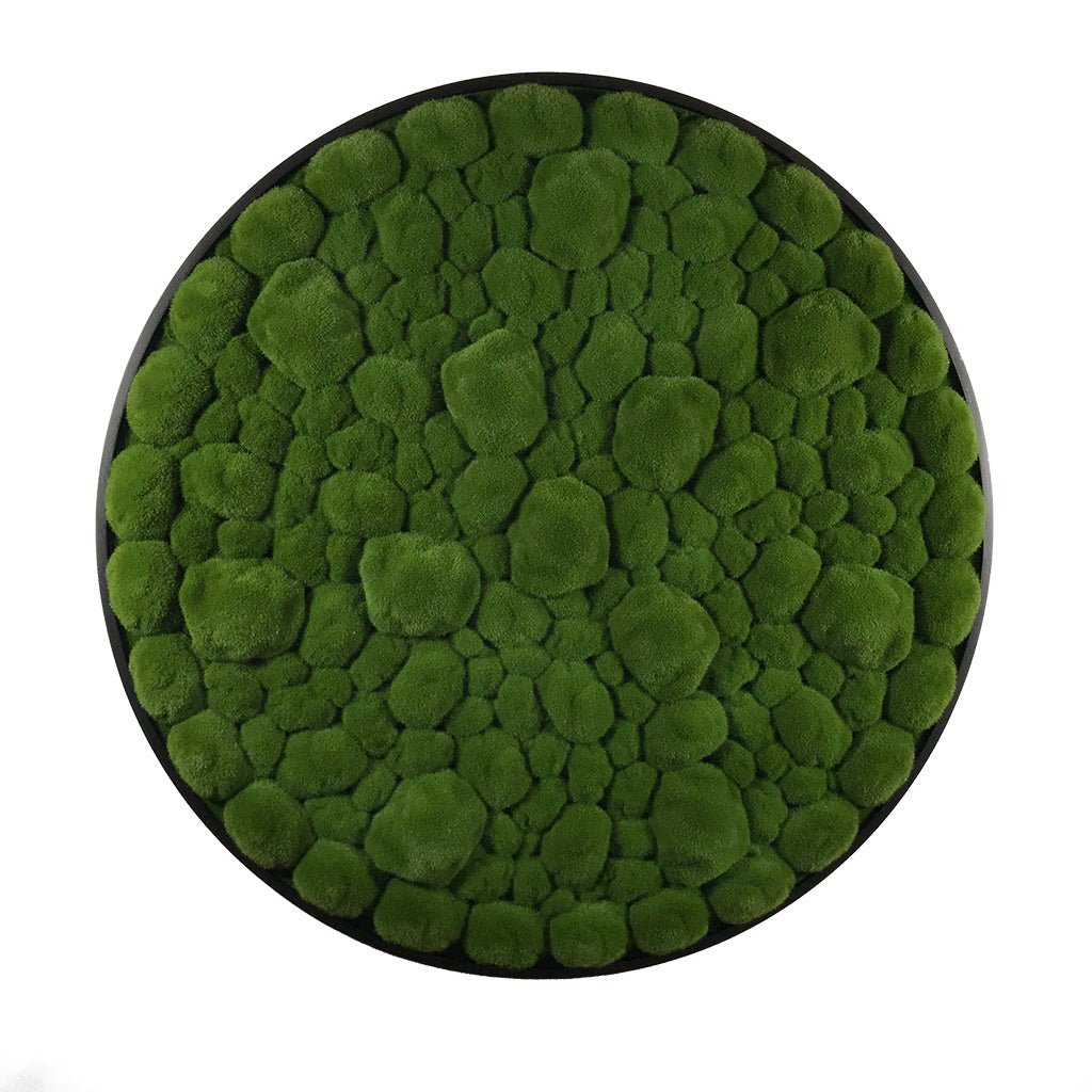 Round moss wall panel: green bun moss with black border, front view.