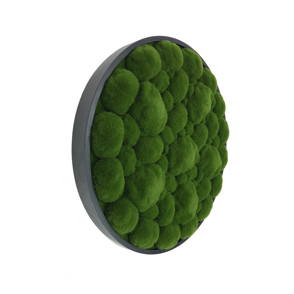 Artificial moss wall panel, circular design with dark frame and textured green bun moss.