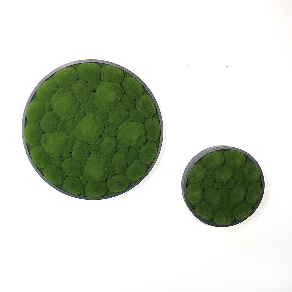 Green artificial moss round wall panels with dark frames, two sizes.