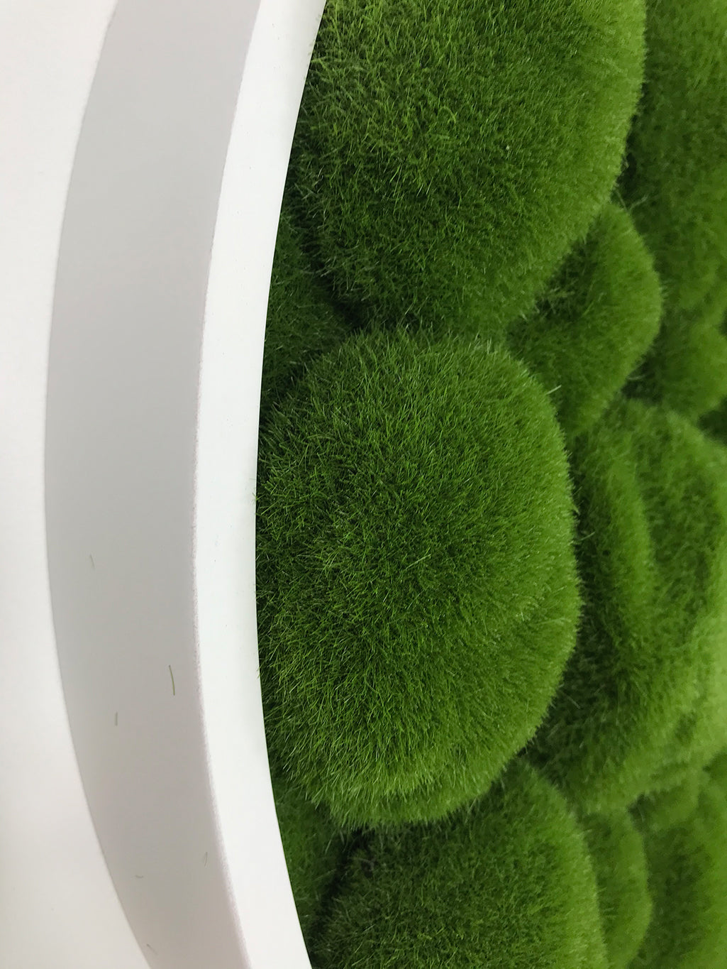 Artificial bun moss wall circular art frames white MDF - 2 x 50cm panels