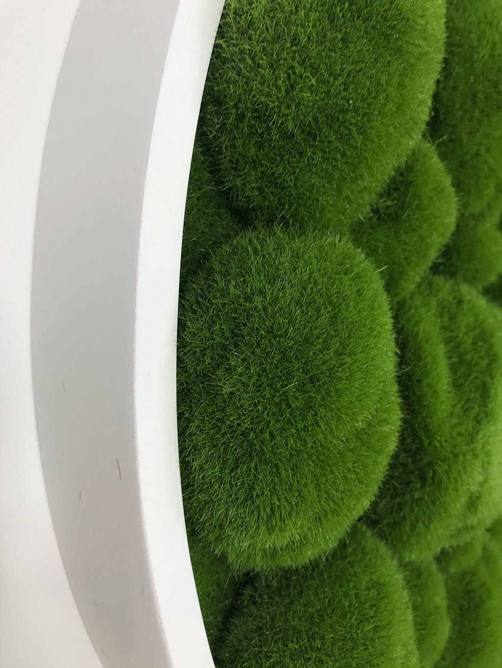 Circular moss wall panel detail: white outer rim with textured green moss surface