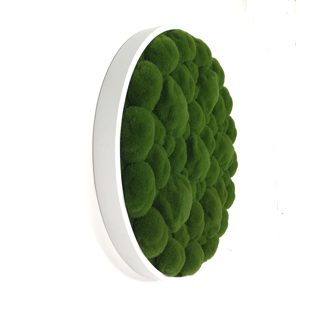 Artificial bun moss wall circular art frames white MDF - 2 x 50cm panels