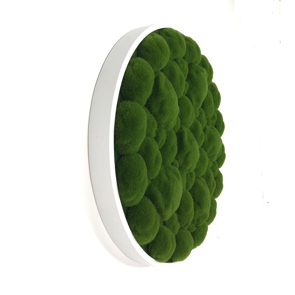 Circular artificial moss wall panel with white rim and dense green cushion texture
