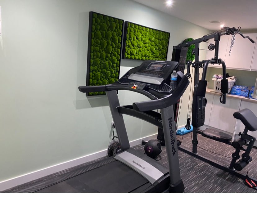 Two black-framed artificial moss wall art panels with green tufted rectangular designs.