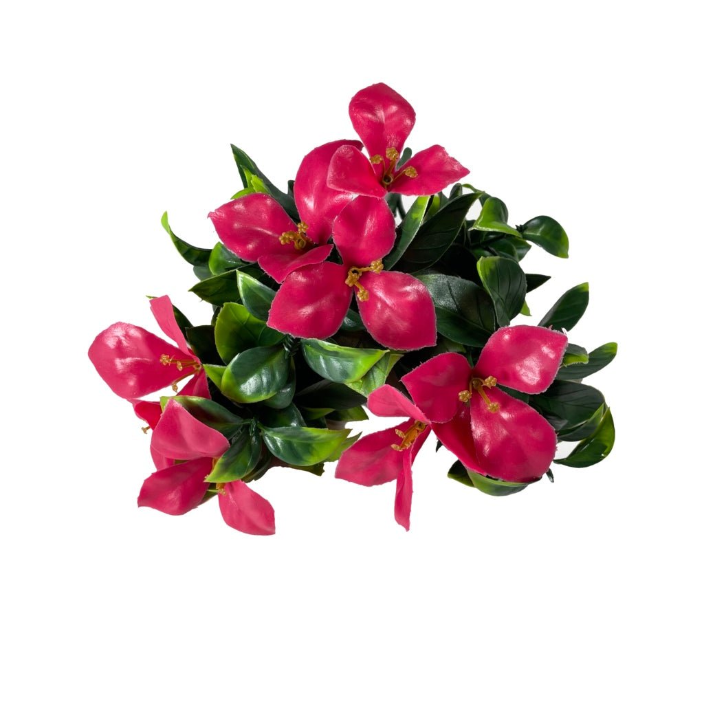 Flower bundle with red-pink blooms and glossy green leaves (two bunches)