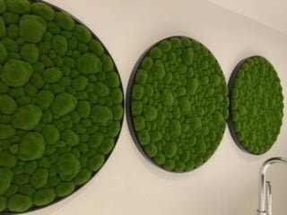 Close view of round green moss wall art panels with dark frames, overlapping.