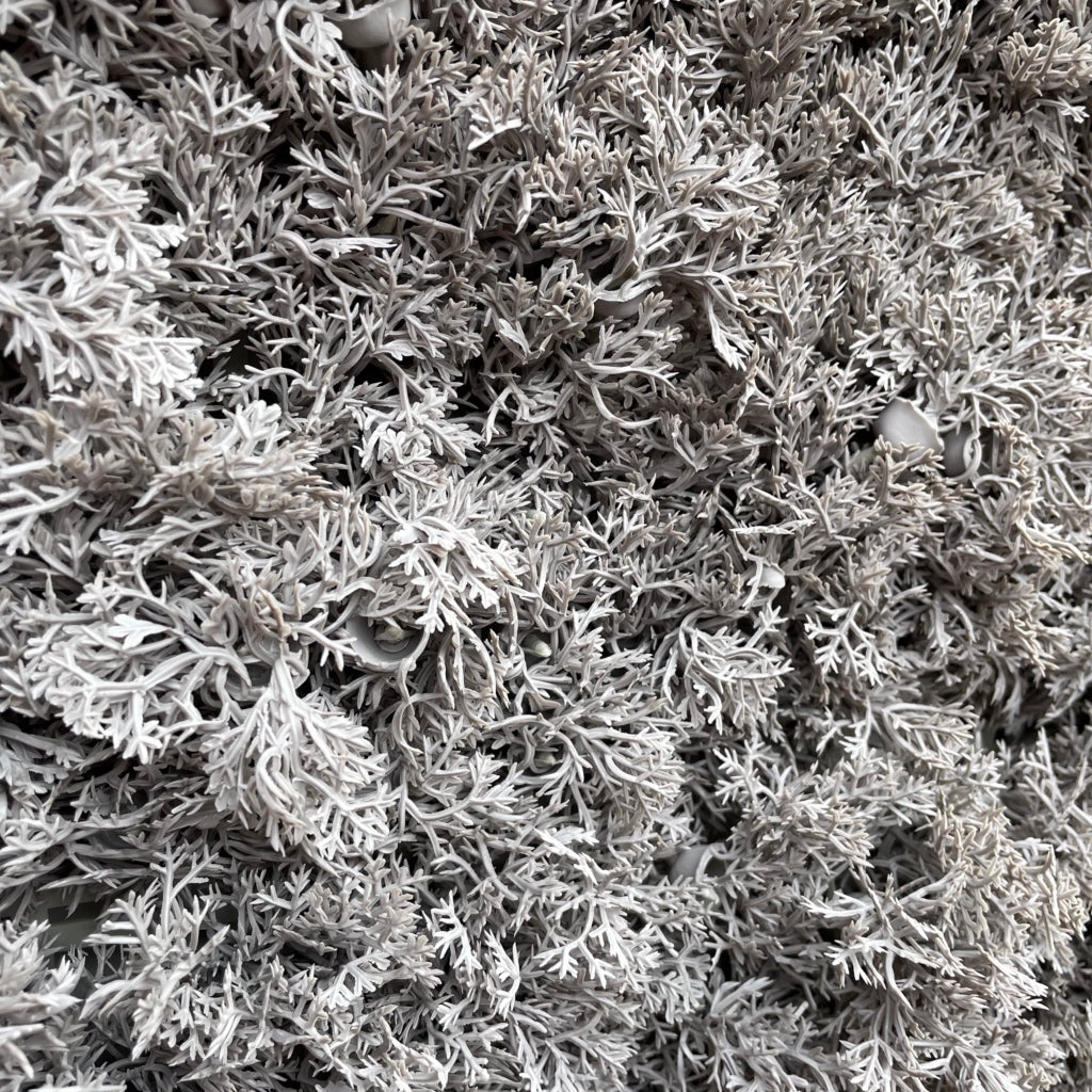 Artificial FR grey reindeer moss panel 100x100cm