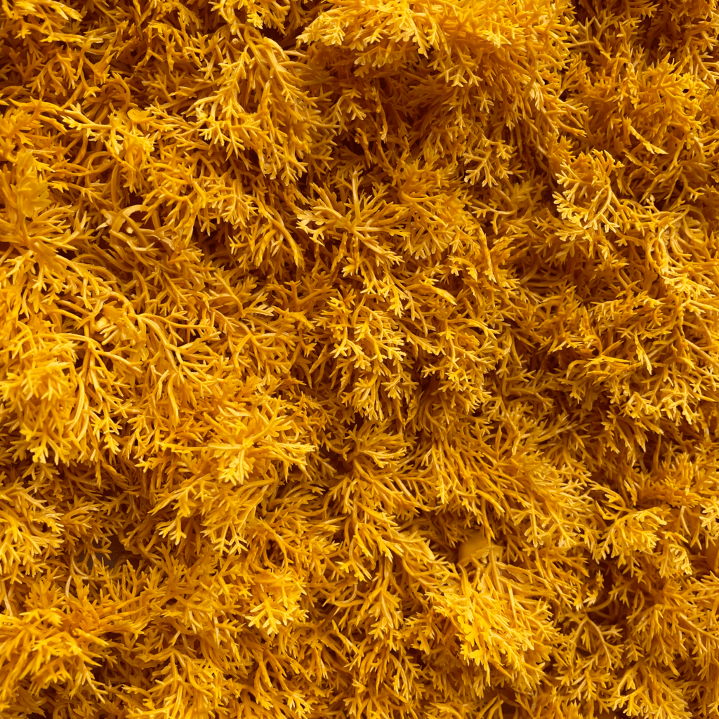 Artificial reindeer moss panel, bright orange shaggy texture