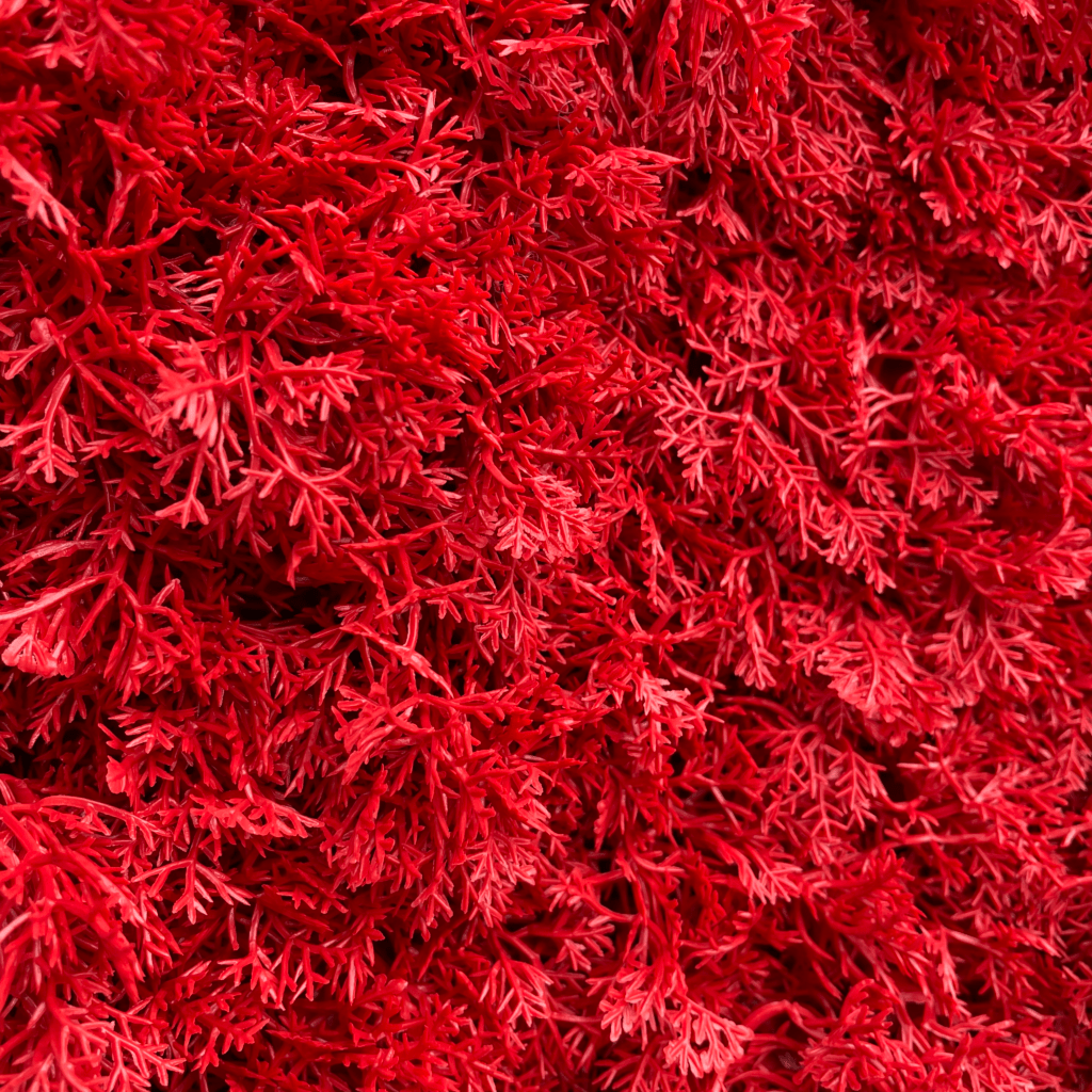 Red reindeer moss fibers, dense shag pile texture