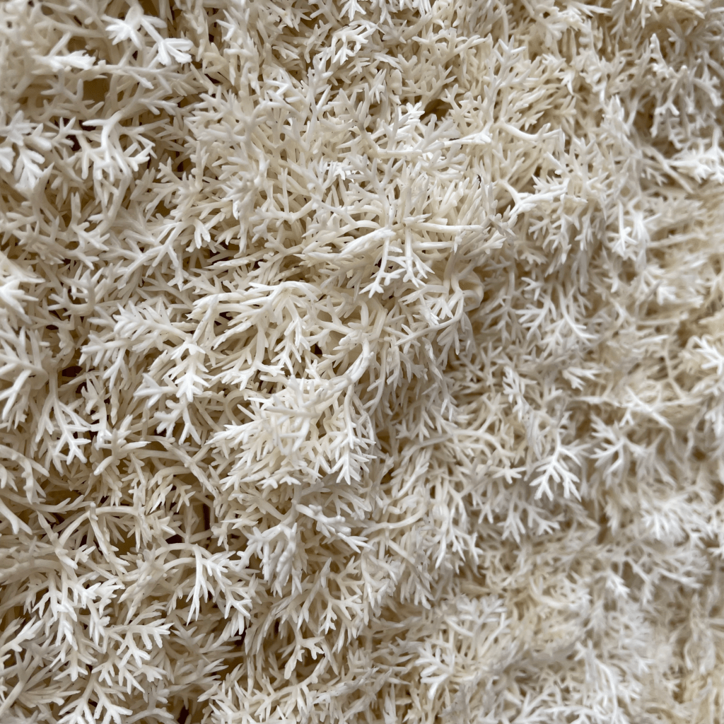 Artificial moss panel with dense white shag texture, 100x100 cm