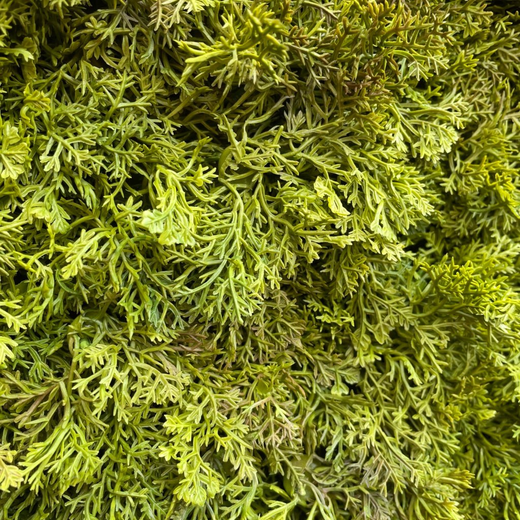 Artificial moss panel texture, olive-green tufted artificial grass