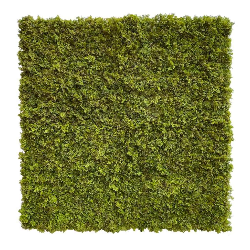 Square artificial moss panel with dense olive-green tufted surface