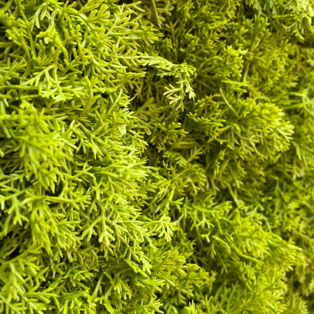Artificial green moss panel texture, dense tufts in bright green