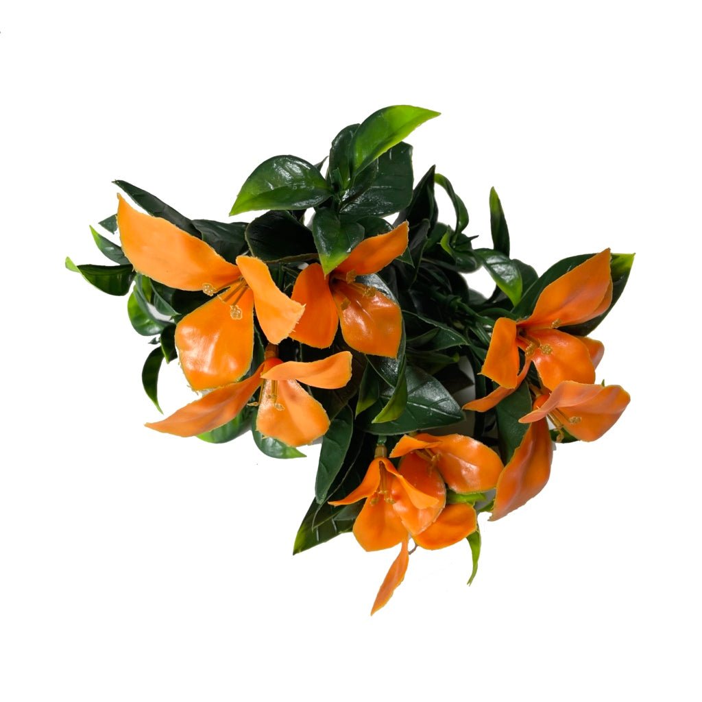 Orange flower bundle with dark green leaves, clustered orange blossoms and stems