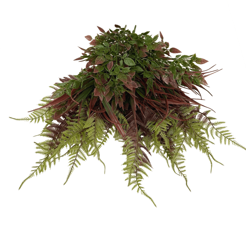 Bundle of five red and green plants with leafy stems and fronds