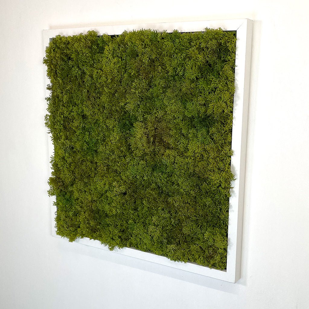 Artificial moss wall panel with dense green tufts, set in a white square frame