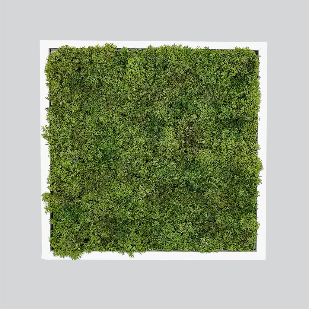 Artificial moss wall square panel with dense green tufted surface, in white border