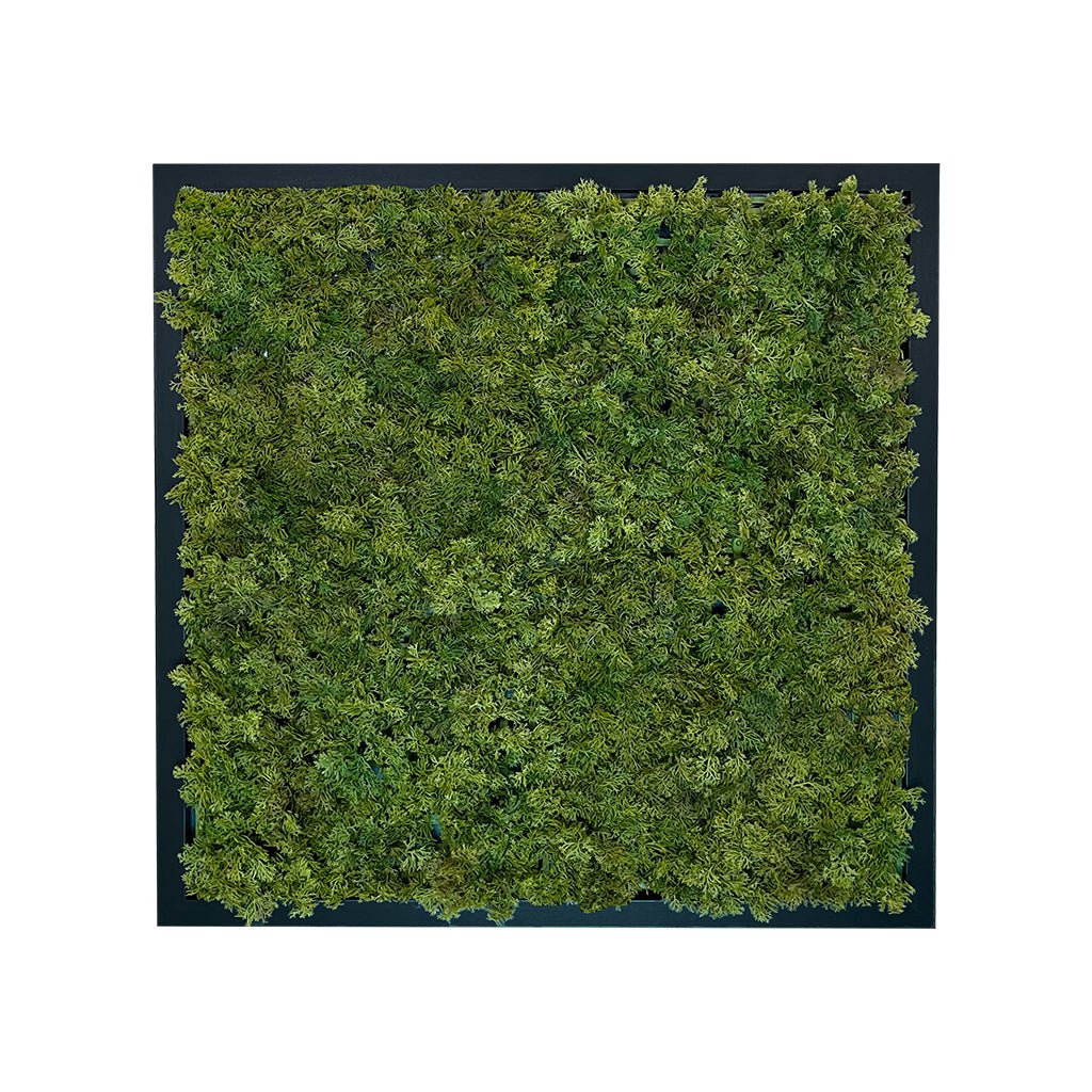 Square artificial reindeer moss wall art panel with black backing