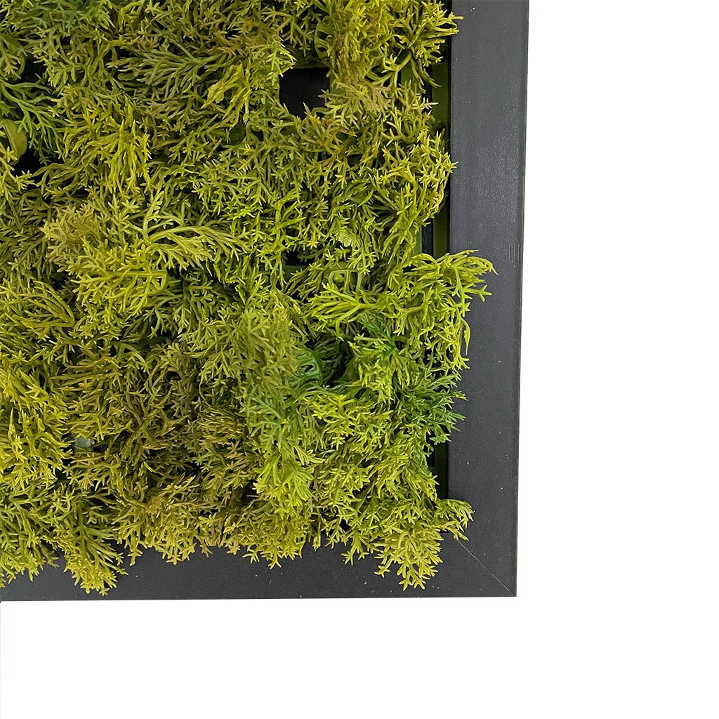 Square moss wall art panel with artificial reindeer moss, on black MDF backing