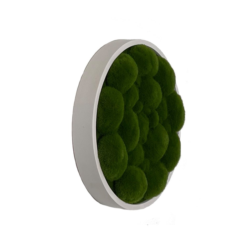Circular artificial moss wall panel with dark green bun moss in gray-white frame, side view