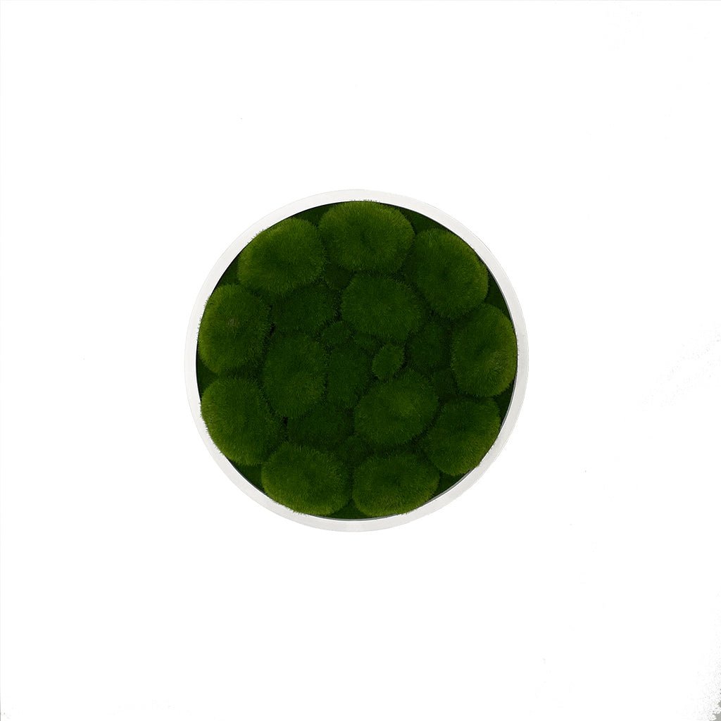 Circular artificial moss wall panel with dark green bun moss on white MDF ring