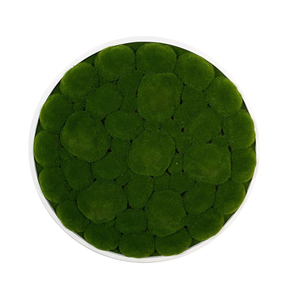 Circular artificial moss panel with dense green cushion texture and white border