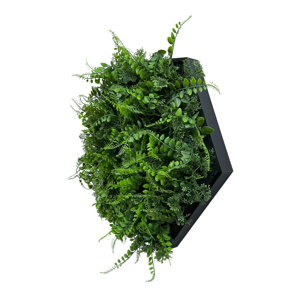 Hexagonal frames - greenplantwalls.co.uk
