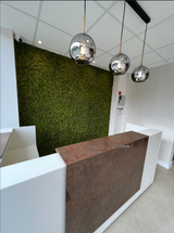 Artifical moss walls
