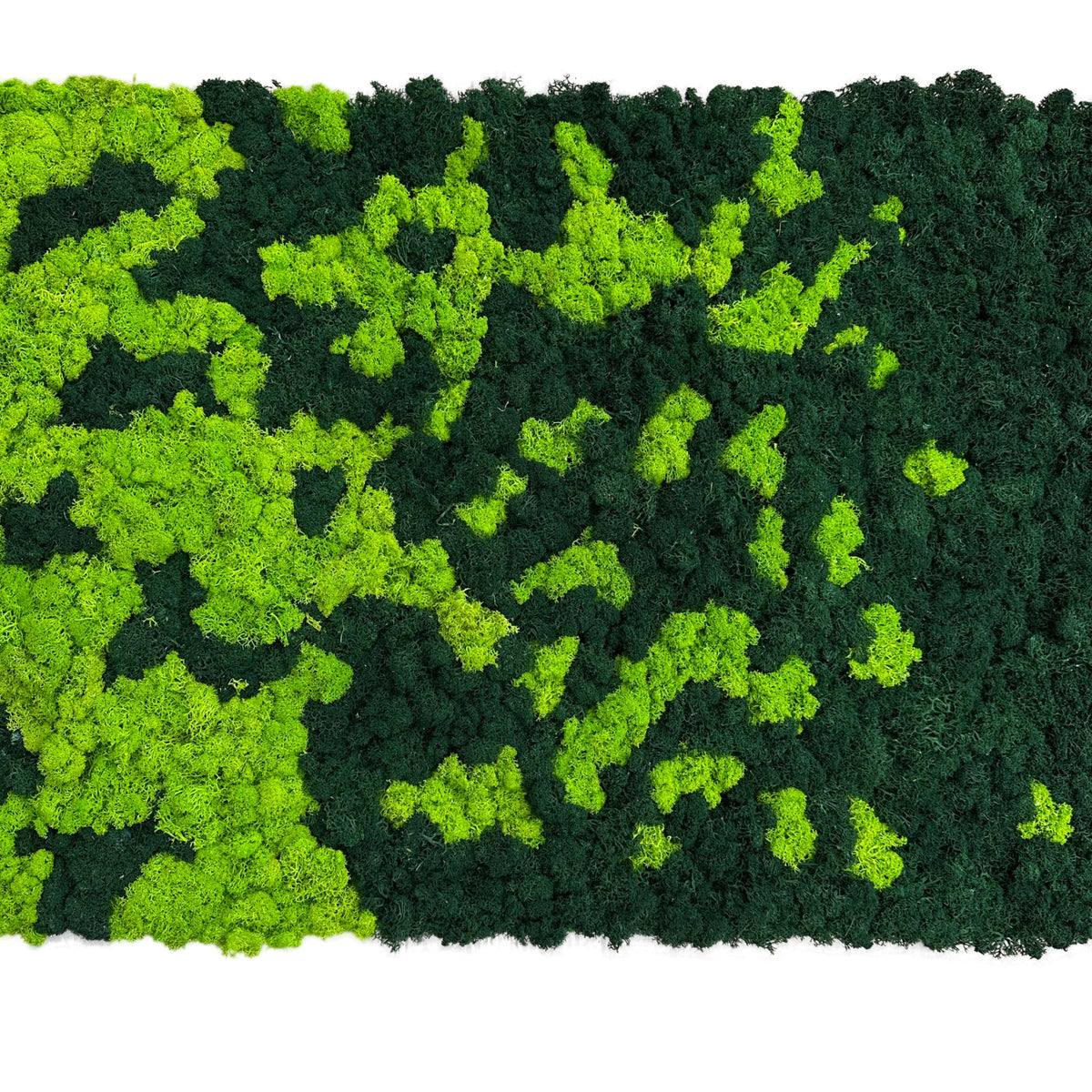 Moss Cladding Preserved moss walls – greenplantwalls.co.uk