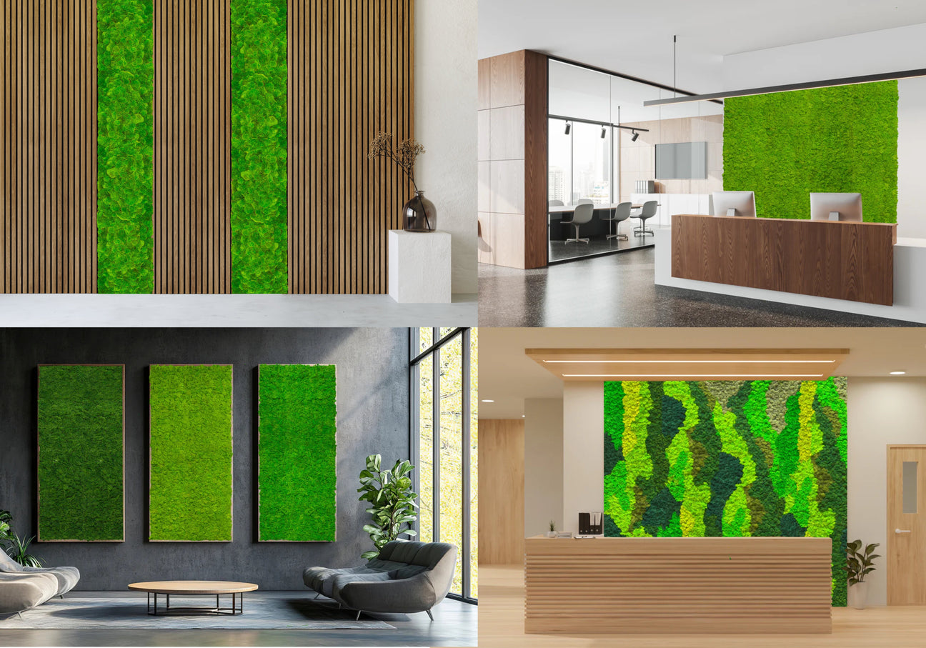 Preserved moss walls