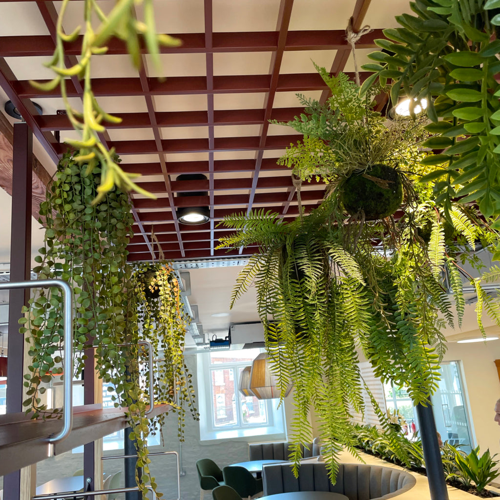 Kokedamas with artificial trailing and hanging plants
