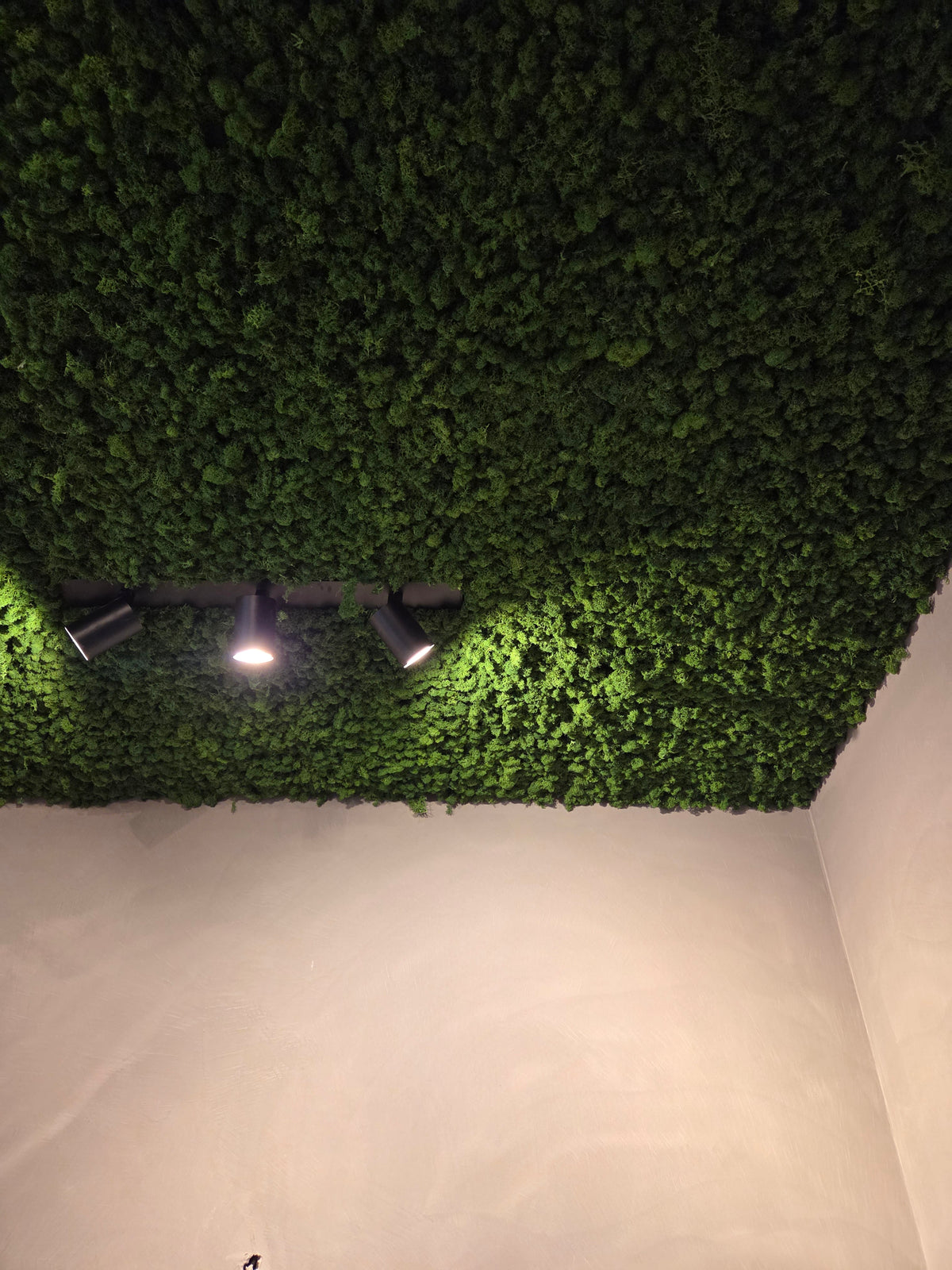 Green reindeer moss wall panel with corner and recessed spotlights
